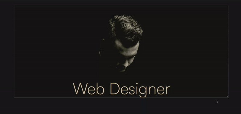 Portfolio Design Preview